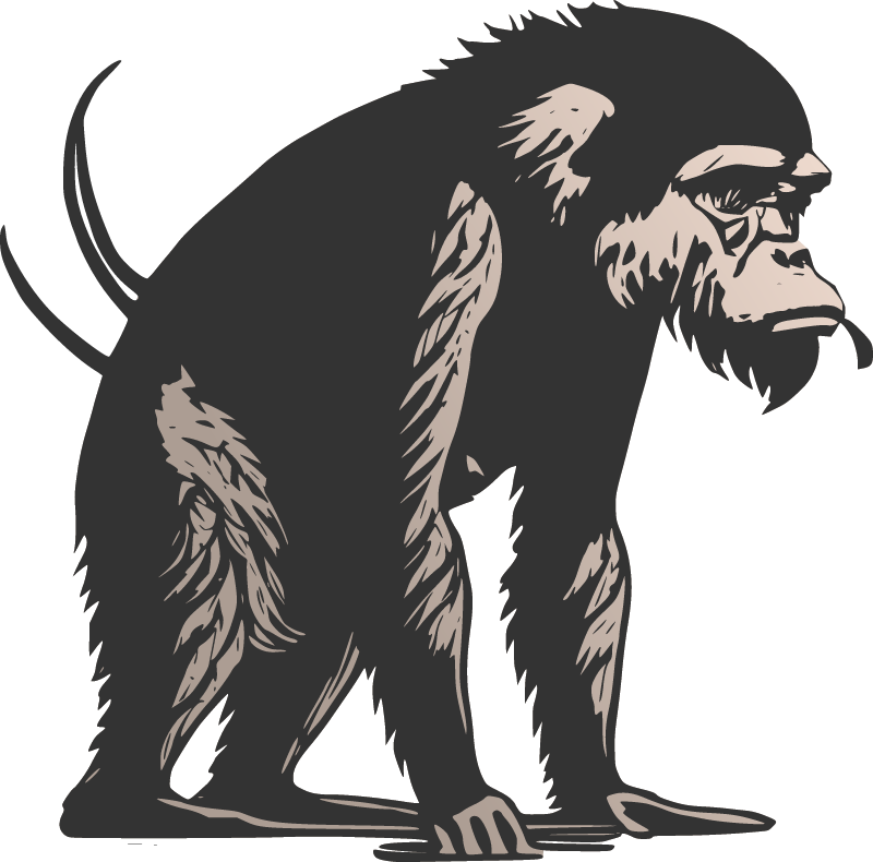Ape-Like Creature