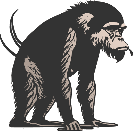Ape-Like Creature