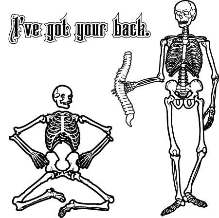 Humorous Spine Image – Skeleton Pun