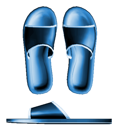 Blue Slippers