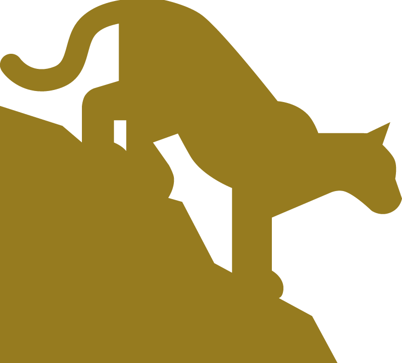 Cougar