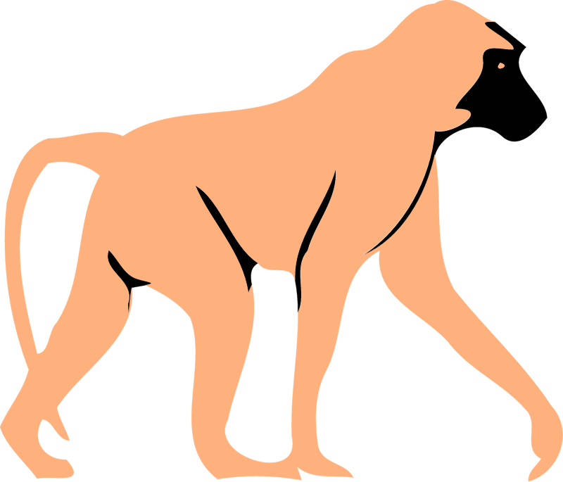 Baboon - Simplified Drawing