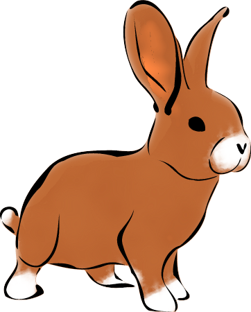 Brown Rabbit