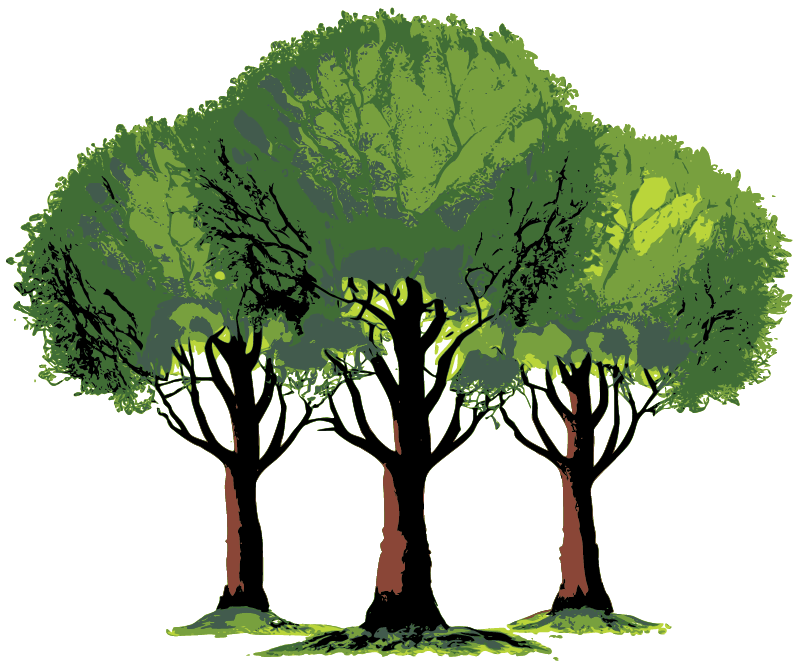 Three Trees