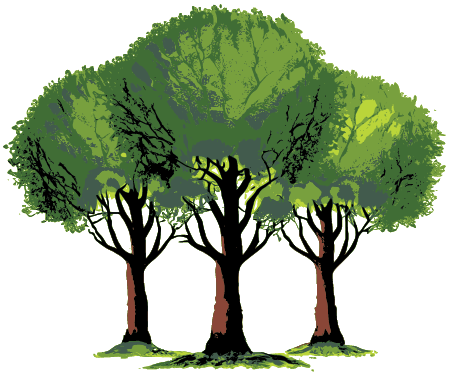 Three Trees