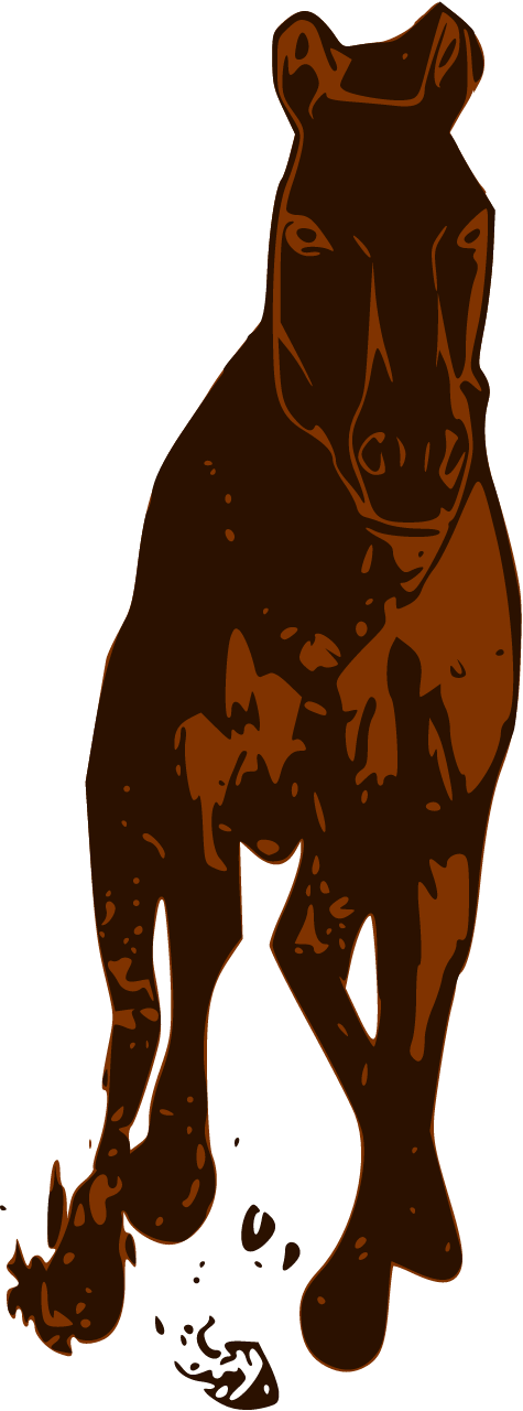 Horse Running Forward – Motion Front View