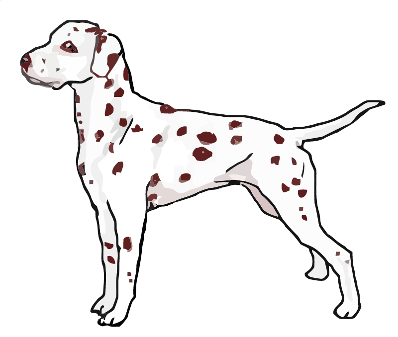 Liver Dalmatian Standing – Summer Fey Foovay