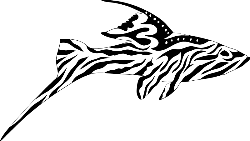 Zebrafish