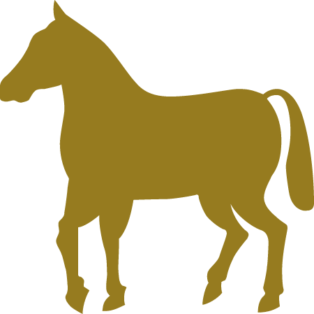 Horse Without Wagon Icon