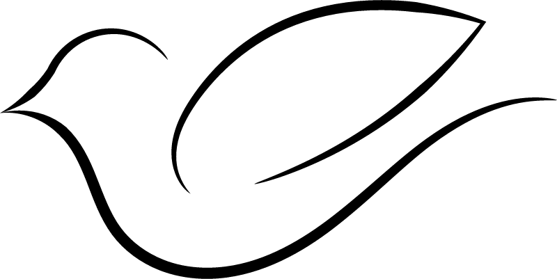Spiro Spline Bird Logo
