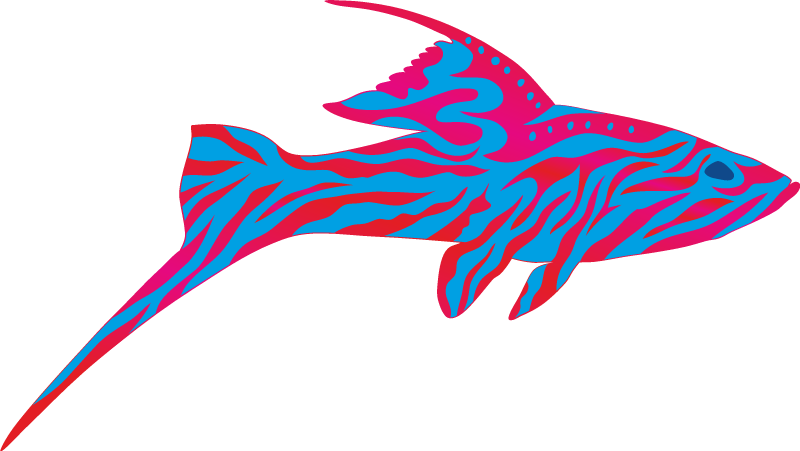 Exotic Fish