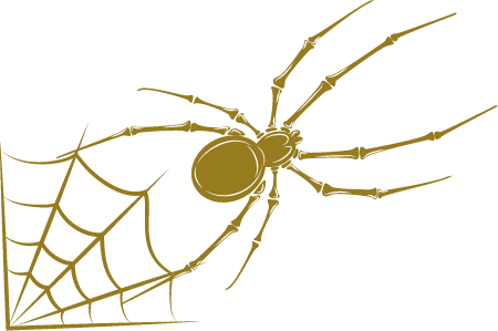 Spider and Web (Public Domain)