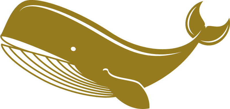 Whale - Ocean Mammal Icon