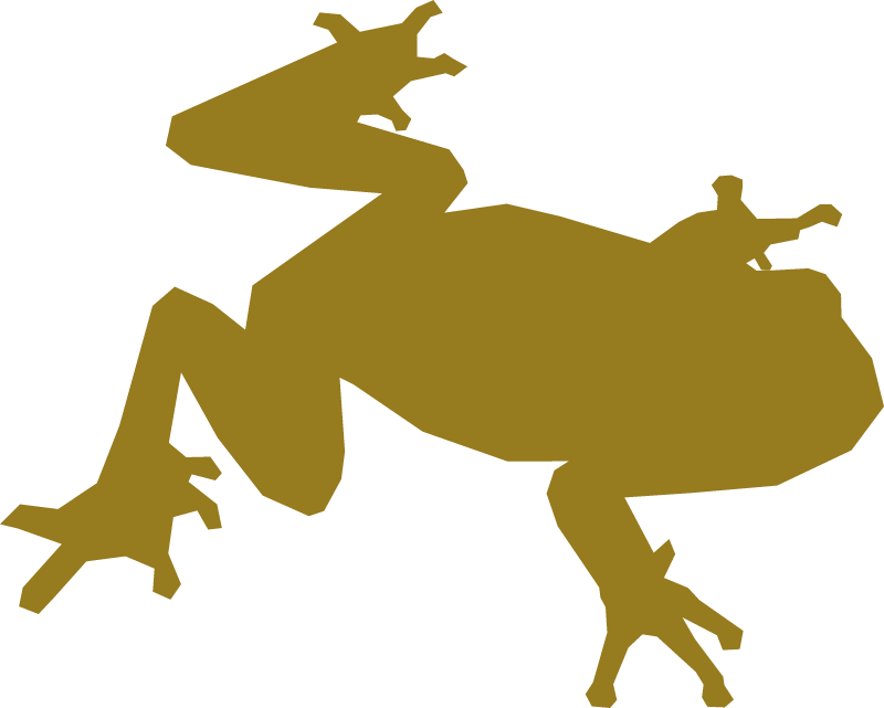 Frog Icon