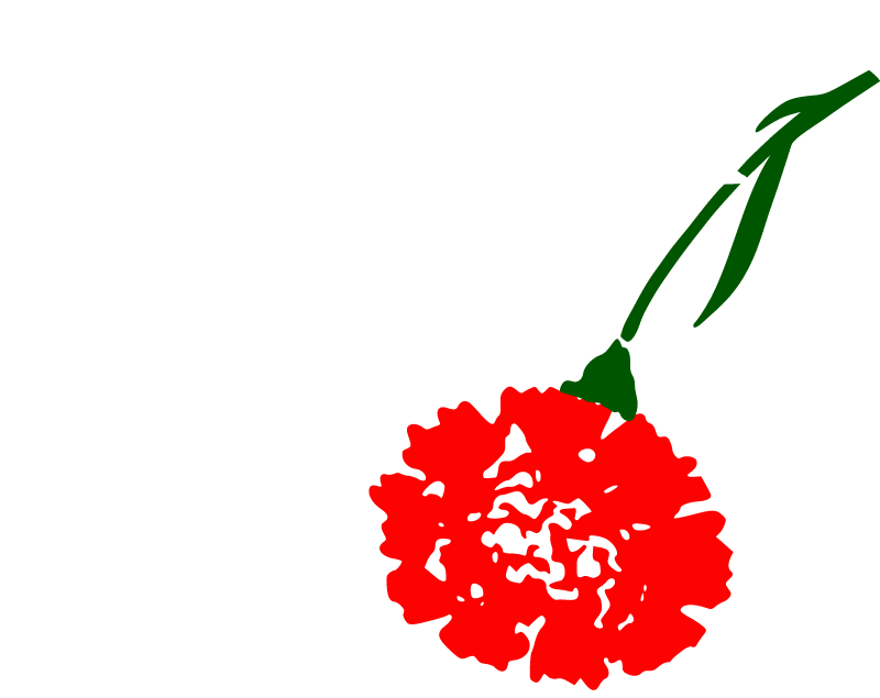 Dove with Carnation – Peace Symbol