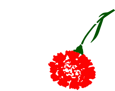 Dove with Carnation – Peace Symbol