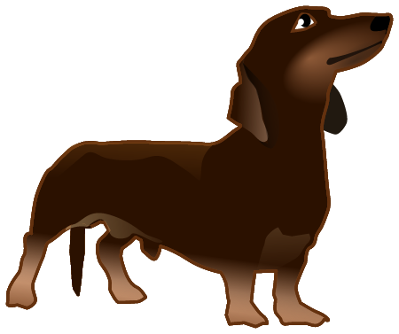 Dachshund Standing