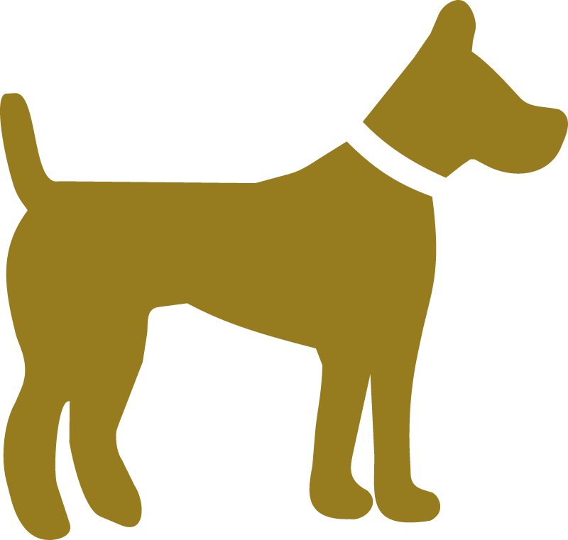 Dog Pet Icon