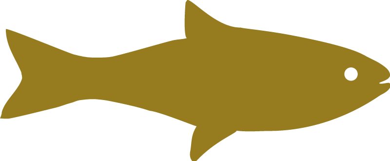 Fish Outline