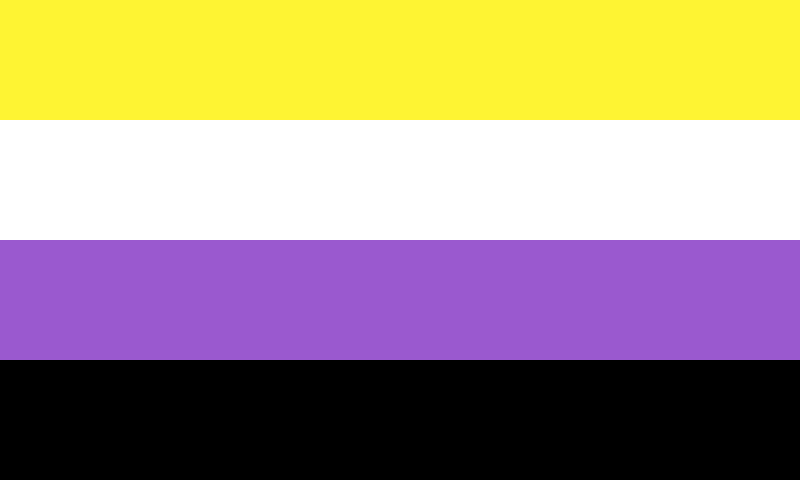 Non-Binary Pride Flag (No Border)