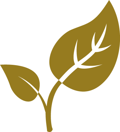 Leaf Design