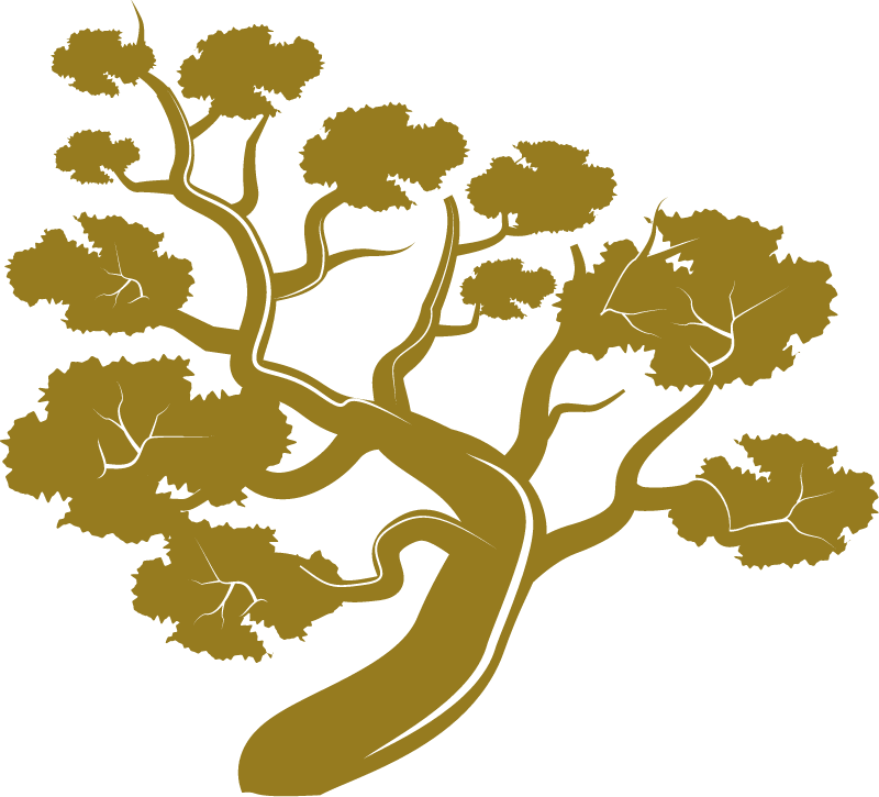 Bonsai Tree