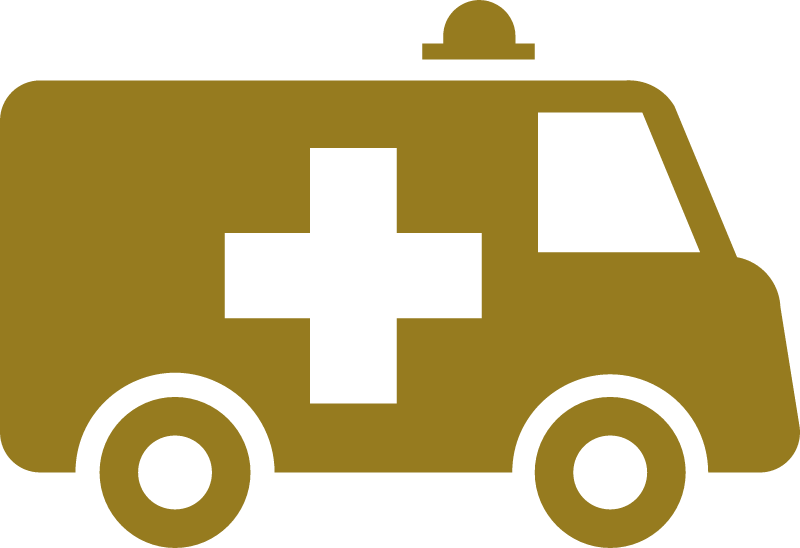 Ambulance Icon