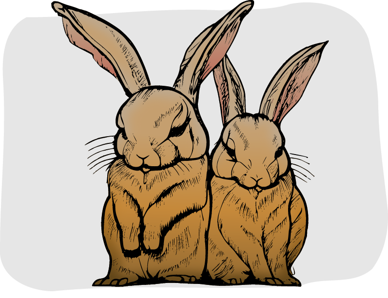Bunny Couple AI