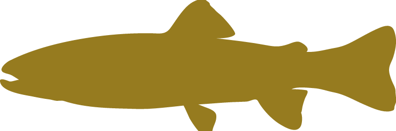 Fish - Aquatic Symbol