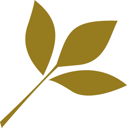 Leaf Outline