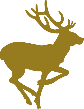 Deer Silhouette