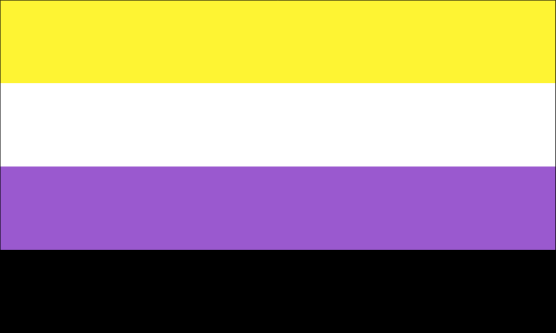 Non-Binary Flag with Black Border (White BG Safe)