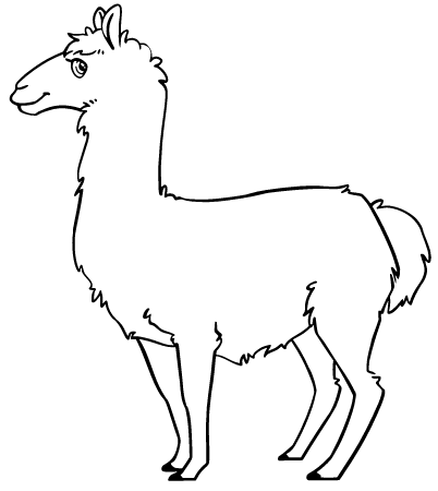 Llama - Line Art Animal