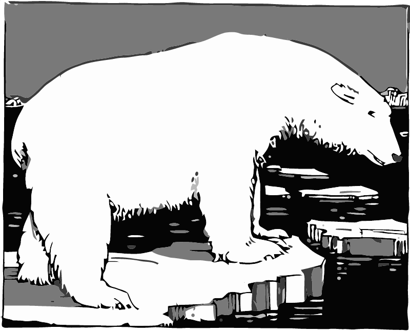 Polar Bear on Ice