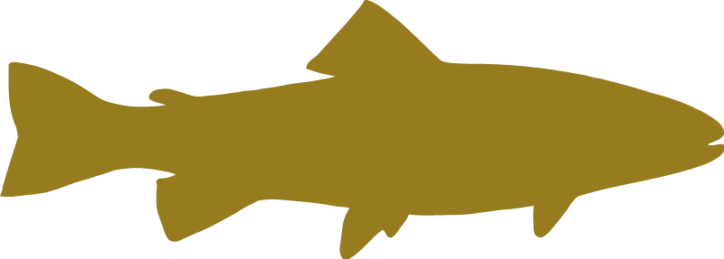 Fish Icon