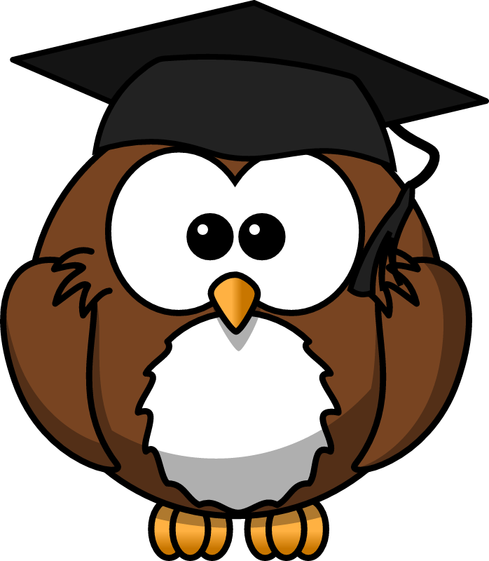 Owl with Graduation Cap