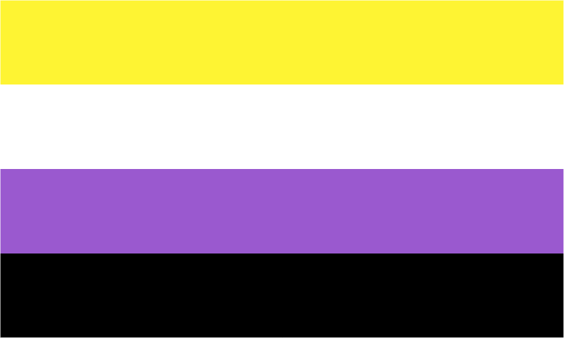 Non-Binary Flag with White Border (Dark BG Safe)