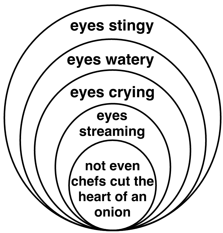 Onion Diagram Example (White)