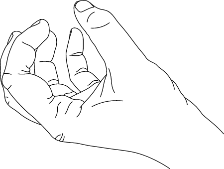 Hindu Gras Mudra