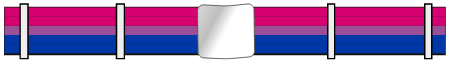 Bisexual Pride Belt (5 Stripes)