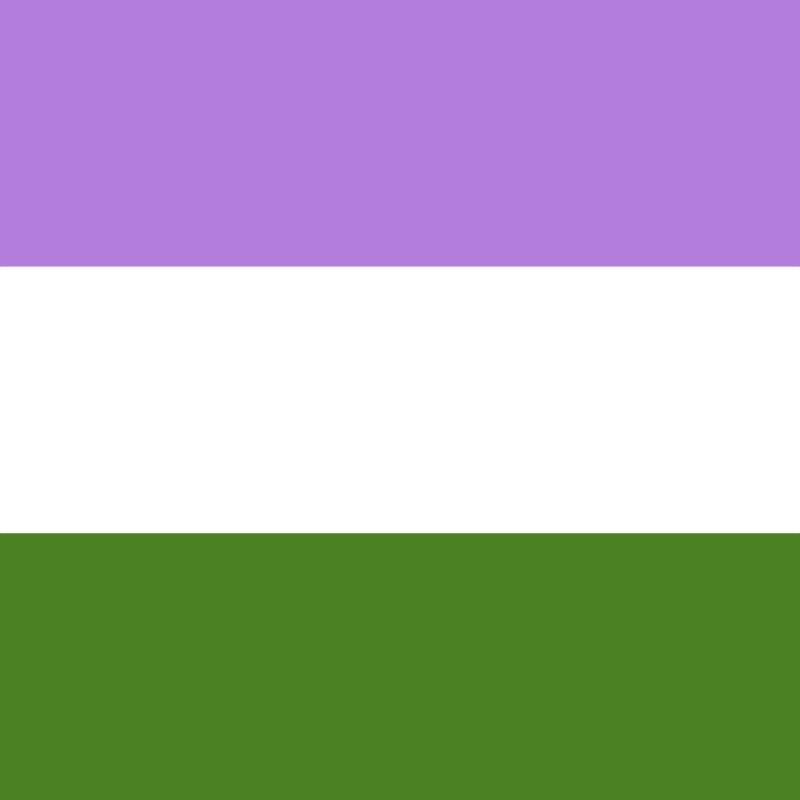 Genderqueer Pride Flag (Square Profile w/ Border)