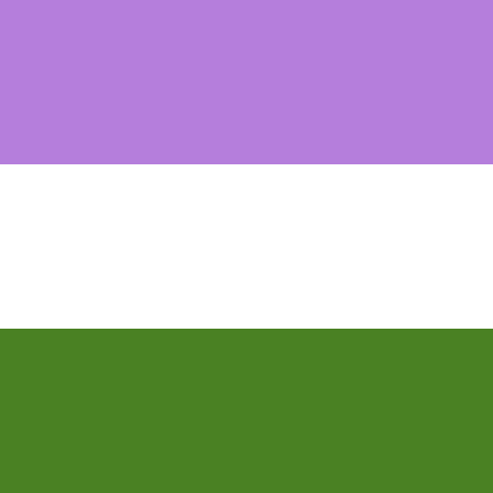 Genderqueer Pride Flag (Square Profile w/ Border)