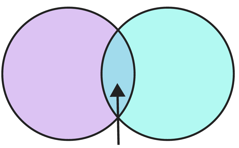 2-Circle Venn Diagram (Pink & Purple)