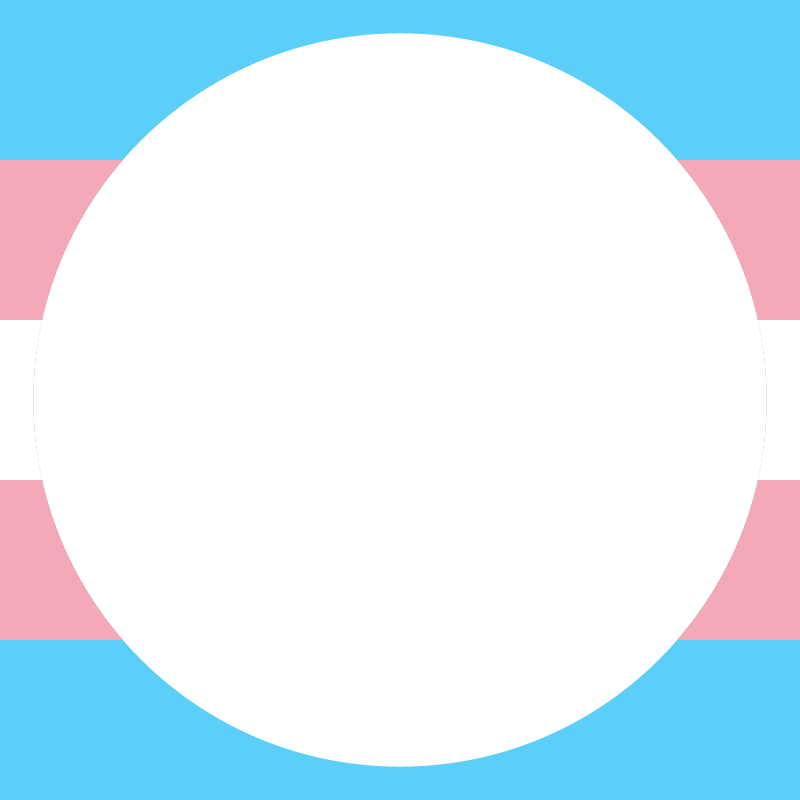 Trans Flag Thin Round Frame