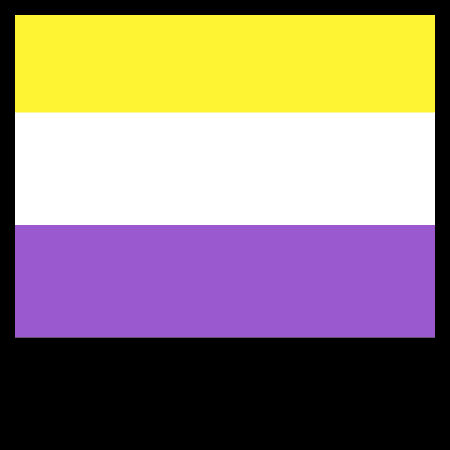 Non-Binary Flag with Black Border