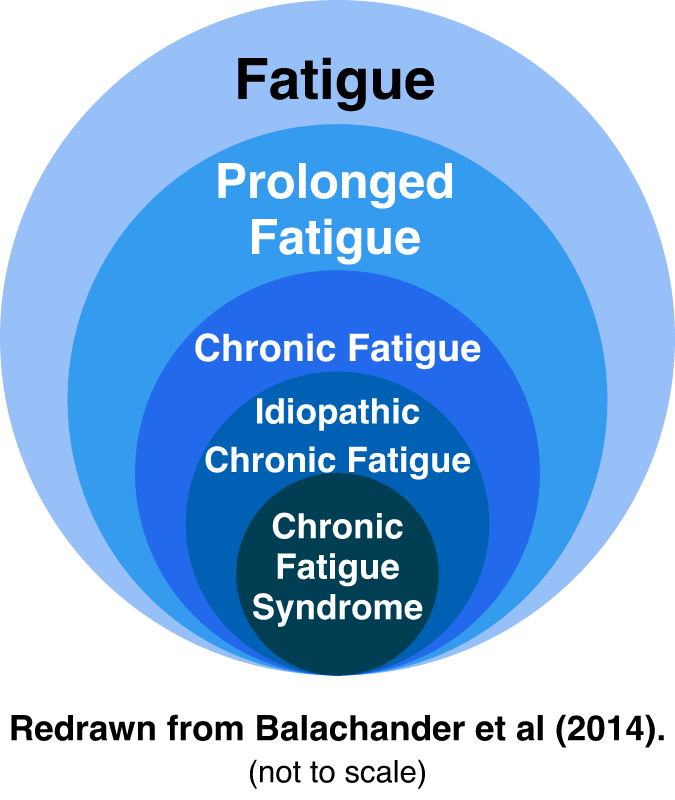 Fatigue Types Comparison Diagram