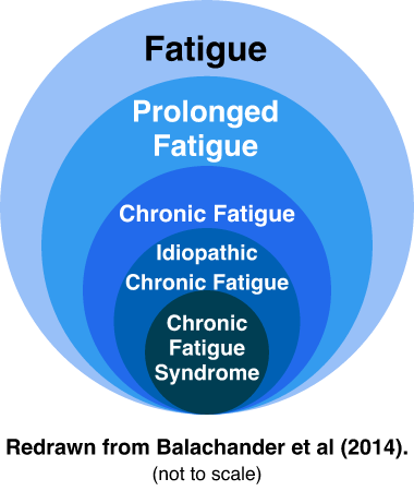 Fatigue Types Comparison Diagram