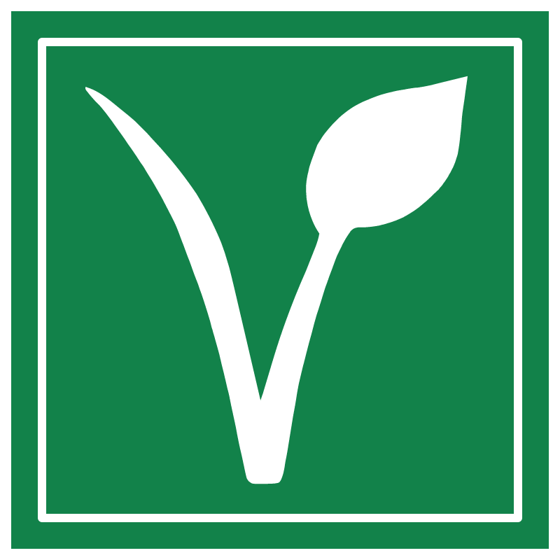 Vegan V Green Square with Double Border