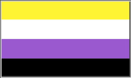 Non-Binary Flag with Gray Groove Border (Original Shape)