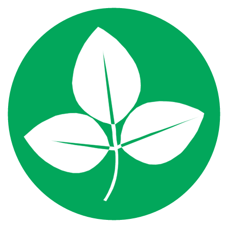 Soy Beans on Green Circle